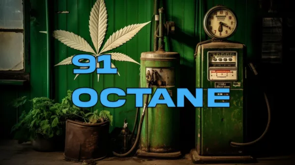91 Octane Cannabis