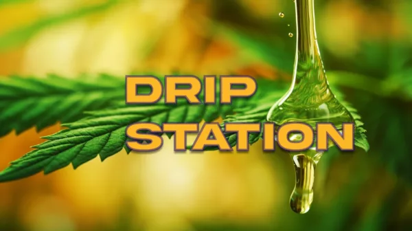 Drip Station Cannabis