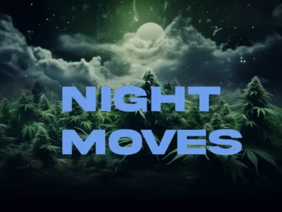 Night Moves Cannabis